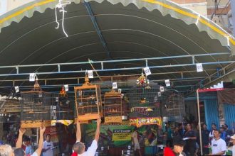 Trio Motor Martadinata