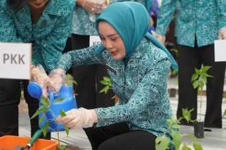 TP PKK Kalteng dan Dinas TPHP Galakkan Pemanfaatan Pekarangan untuk Ketahanan Pangan