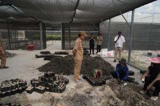 Gubernur Kalteng Tinjau Persemaian Permanen Modern di Palangka Raya