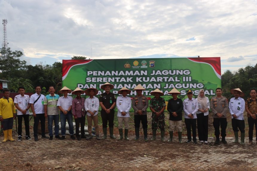 Bupati Balangan, Abdul Hadi, Kapolres Balangan, AKBP Yulianor Abdi, sejumlah unsur Forkopimda, dan jajaran SKPD dilingkungan Pemkab setempat saat kegiatan penanaman jagung serentak Kuartal III di Paringin Selatan. Foto: Humas Polres Balangan