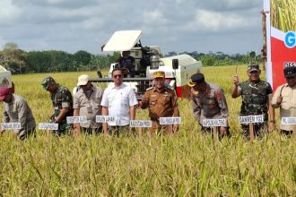 Kepala Dinas Tanaman Pangan, Hortikultura dan Peternakan (TPHP) Provinsi Kalteng, Rendy Lesmana, saat menghadiri panen raya padi di Desa Terusan Makmur, Kecamatan Bataguh, Kabupaten Kapuas. Foto: Istimewa