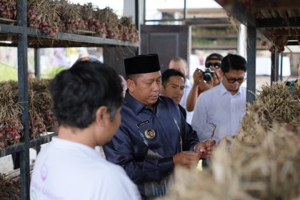 Bupati Barito Kuala, H. Bahrul Ilmi melakukan kunjungan ke KTT Sari Pertiwi Desa Songan, Kecamatan Kintamani, Kabupaten Bangli, Provinsi Bali mempelajari teknik penanam bawang merah, (16/07/2025).