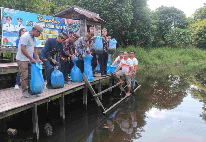 Pelepasan Benih Ikan di Sungai Serapat Kabupaten Barito Timur. Foto : MMC Kalteng.