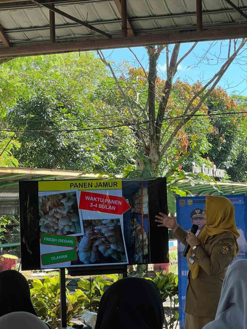 Kegiatan Kolaborasi oleh Disbudporapar dan DKP3 Banjarmasin. Foto : Perspektif BJM