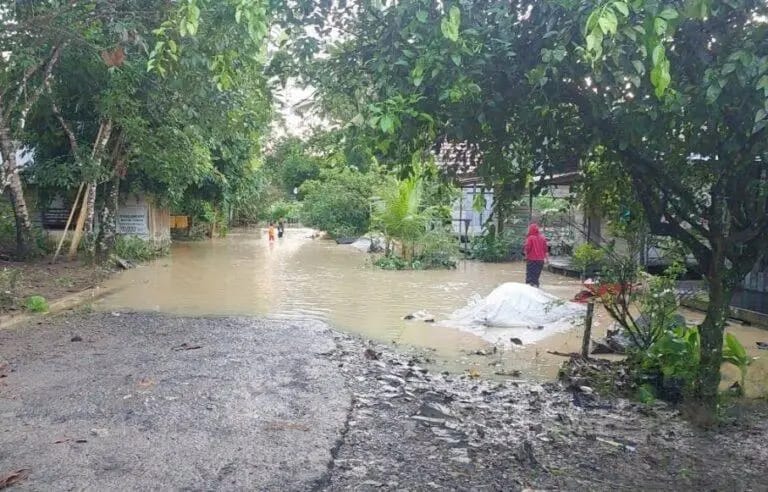 Genangan air menutupi jalan desa di Kabupaten Banjar setelah hujan deras, Kamis (11/9/2025) pagi. Debit Sungai Riam Kiwa yang meningkat membuat warga waspada potensi banjir. Foto: Istimewa
