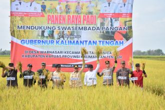 Gubernur Kalteng dan Bupati Kapuas Panen Raya Padi di Tamban Catur, Bukti Sinergi Wujudkan Ketahanan Pangan
