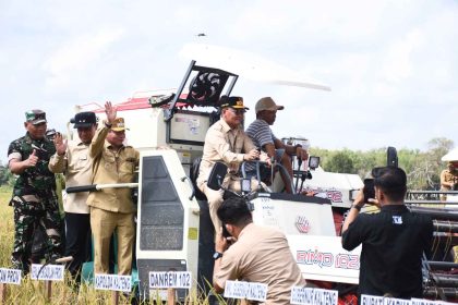 Gubernur Kalteng dan Bupati Kapuas Panen Raya Padi di Bataguh, Dorong Ketahanan Pangan Nasional