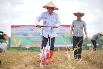 Pemkab Balangan Dukung Penanaman Jagung Serentak untuk Swasembada Pangan Nasional