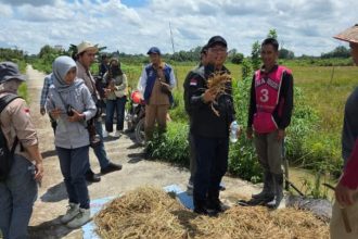 DPRD Barito Utara Desak Pemulihan Kerusakan Lingkungan DAM Trinsing