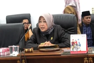 Ketua DPRD Barito Utara HJ Mery