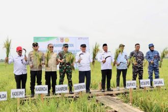 Barito Kuala sebagai Lumbung Pangan Regional