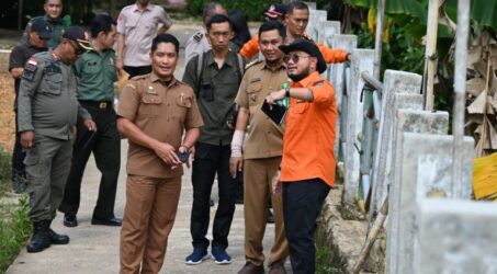 Wabup Bartim Tinjau Jalan Amblas di Ampah