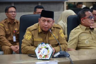 Perusda Aneka Usaha Selidah