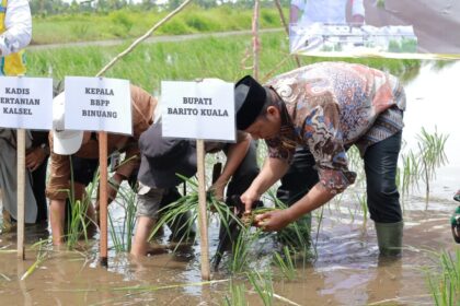 Gerakan Tanam Serempak