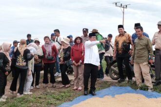 Bupati Kapuas Hadiri Panen Raya di Bataguh, Tinjau Infrastruktur Jalan Desa
