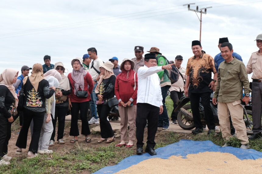 Bupati Kapuas Hadiri Panen Raya di Bataguh, Tinjau Infrastruktur Jalan Desa