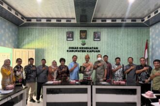 Pelayanan kesehatan