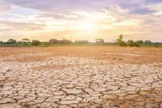 “Godzilla El Nino”
