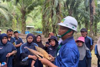 Luncurkan Hotline PERKASA, TAP Untuk Negeri Dorong Produktivitas Petani Sawit