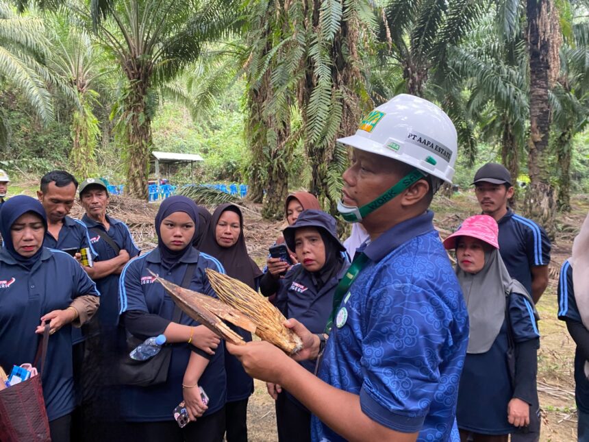 Luncurkan Hotline PERKASA, TAP Untuk Negeri Dorong Produktivitas Petani Sawit