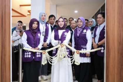 Ketua TP Posyandu