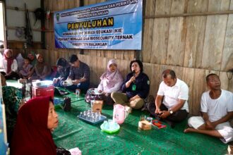 DKP3 Balangan