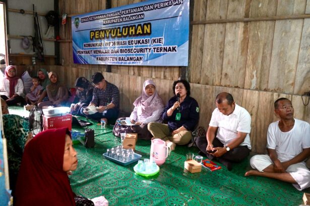 DKP3 Balangan
