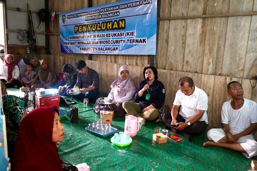 DKP3 Balangan