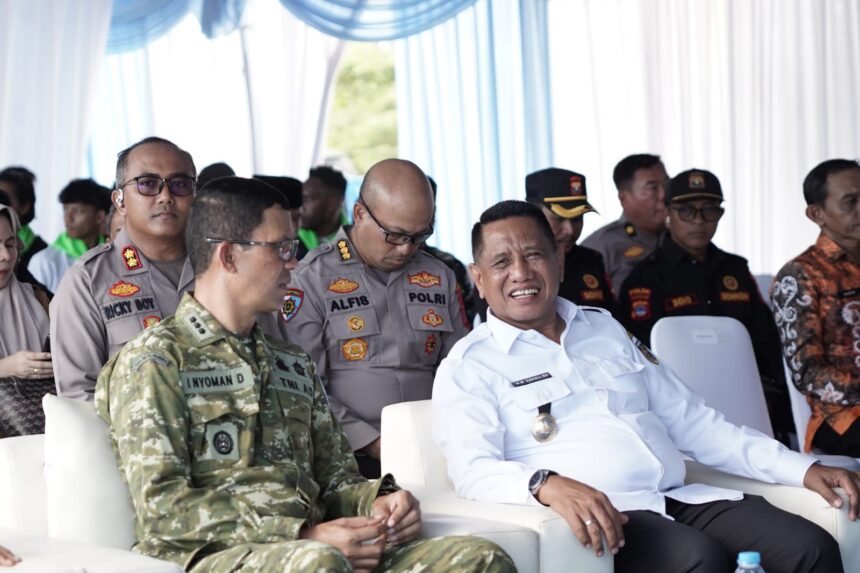 Panen raya jagung