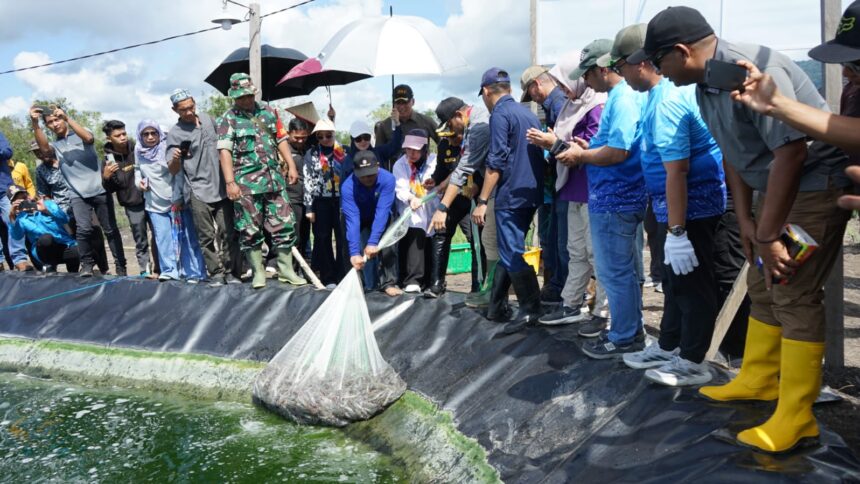 Udang Vaname