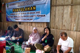 DKP3 Balangan Bekali Kelompok Ternak Desa Nungka dengan Edukasi Biosecurity
