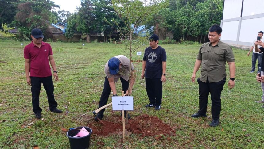 desa menanam