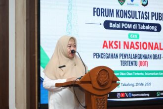 penyalahgunaan
