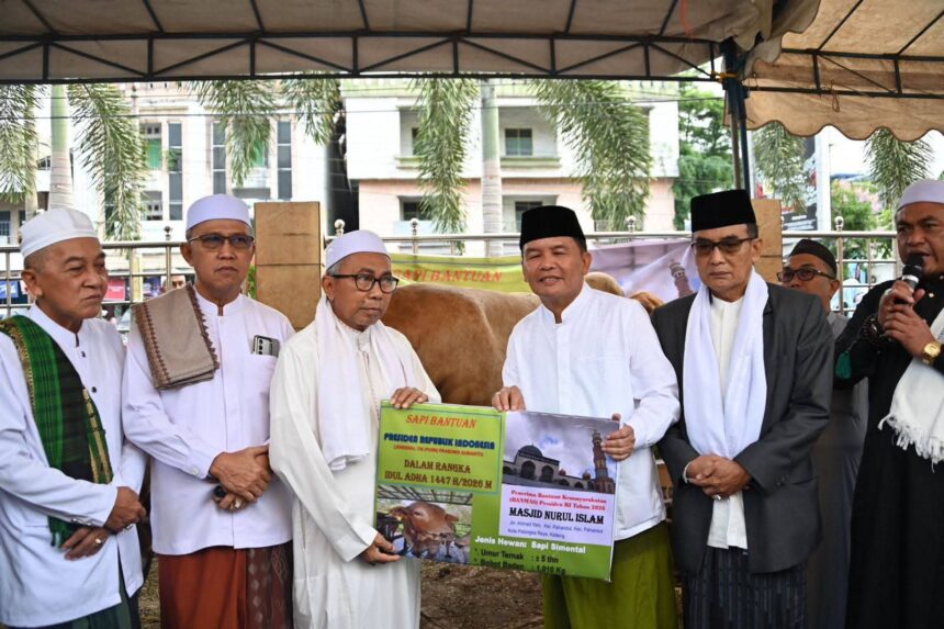 sapi kurban