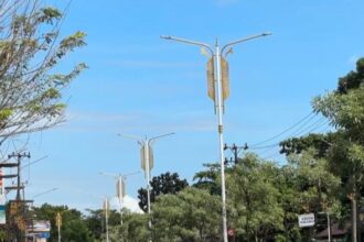 lampu