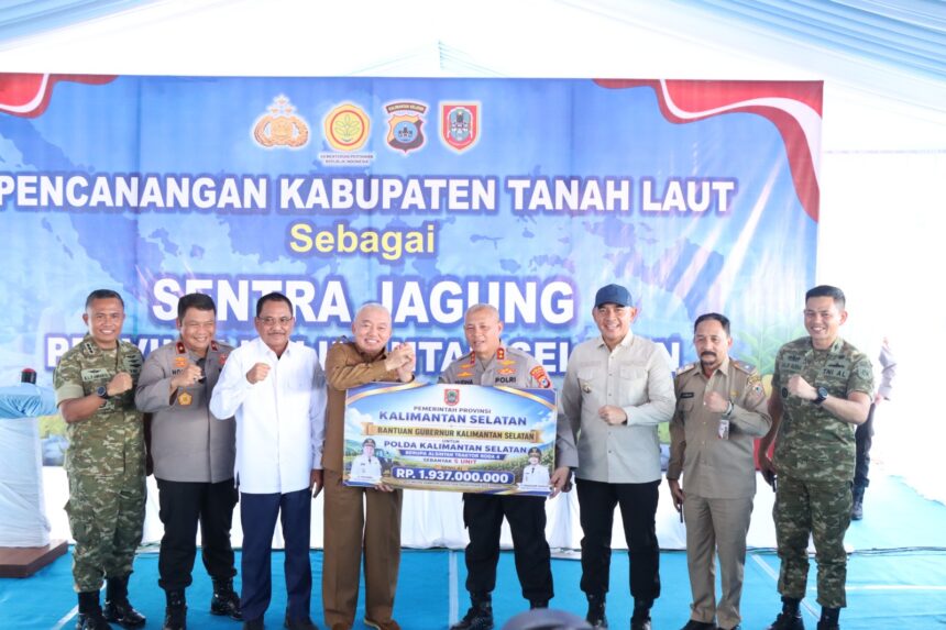 sentra jagung