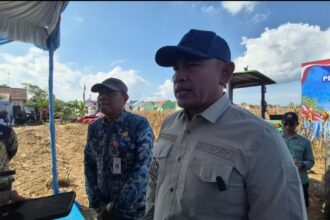 jagung