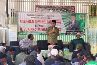 Sosialisasi