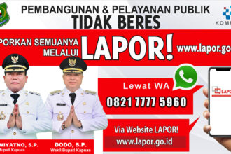 Lapor