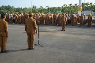 Pemkab Kotabaru