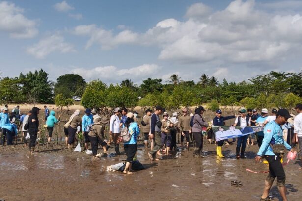 Hari Mangrove