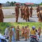Bupati Shalahuddin Tinjau Proyek Strategis