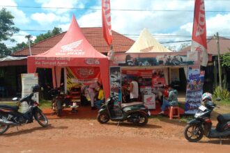 Servis Kunjung