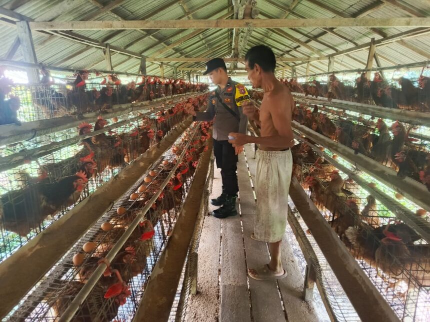 Desa Sarapat