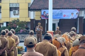 Koperasi