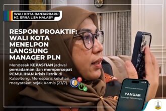 PLN