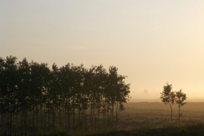 haze