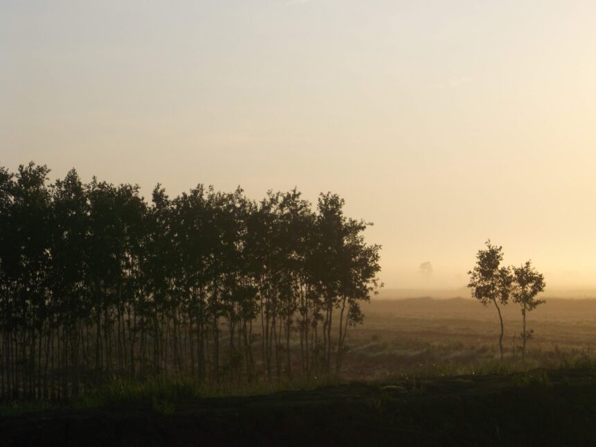 haze