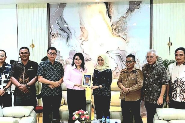 Komisi I DPRD Kapuas Soroti Penataan APBD Perubahan Usai Efisiensi