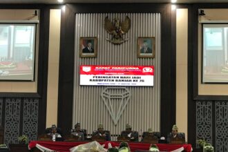 pemkab banjar